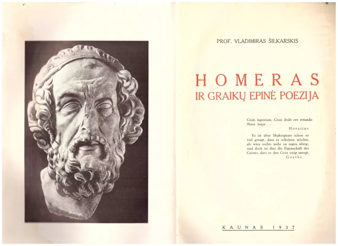 Homeras ir graikų epinė poezija - Autorių Kolektyvas, knyga