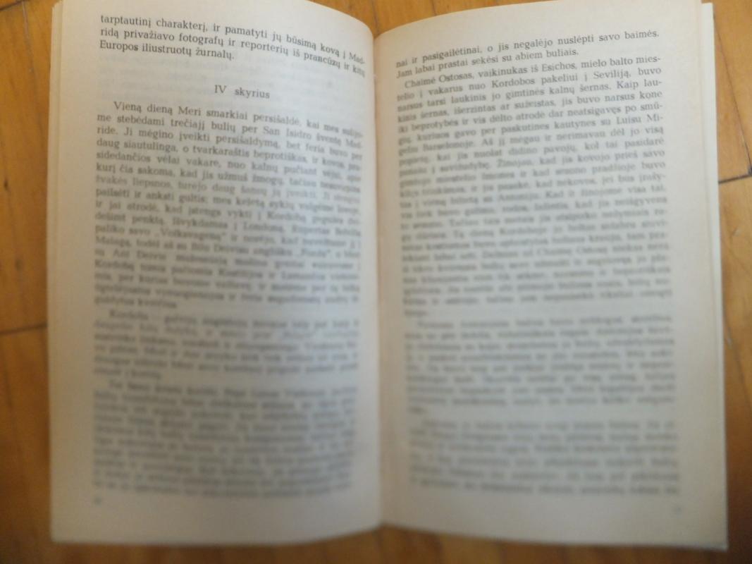 Pavojinga vasara - Ernestas Hemingvėjus, knyga 4