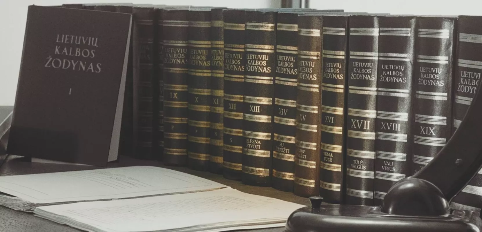 Lietuvių kalbos žodynas (20 tomų) - Autorių Kolektyvas, knyga