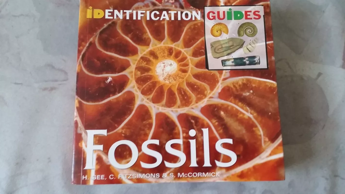 FOSSILS:identification guide - Autorių Kolektyvas, knyga