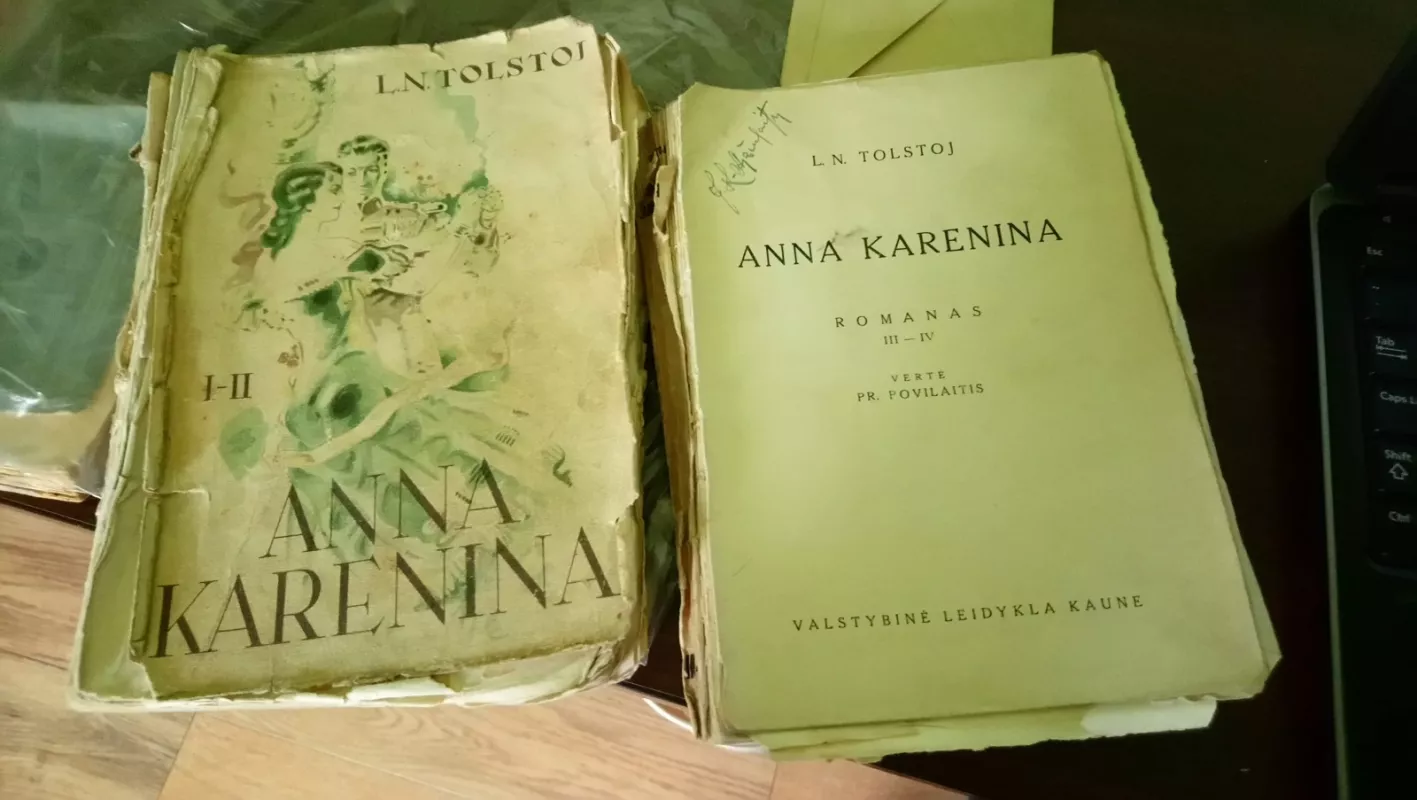 Ana Karenina I-II, III-IV - Levas Tolstojus, knyga