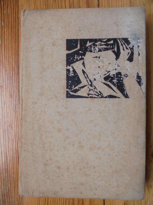 Ne ta pastogė - Ieva Simonaitytė, knyga 2