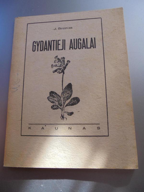 Gydantieji augalai - J. Birzinas, knyga 2