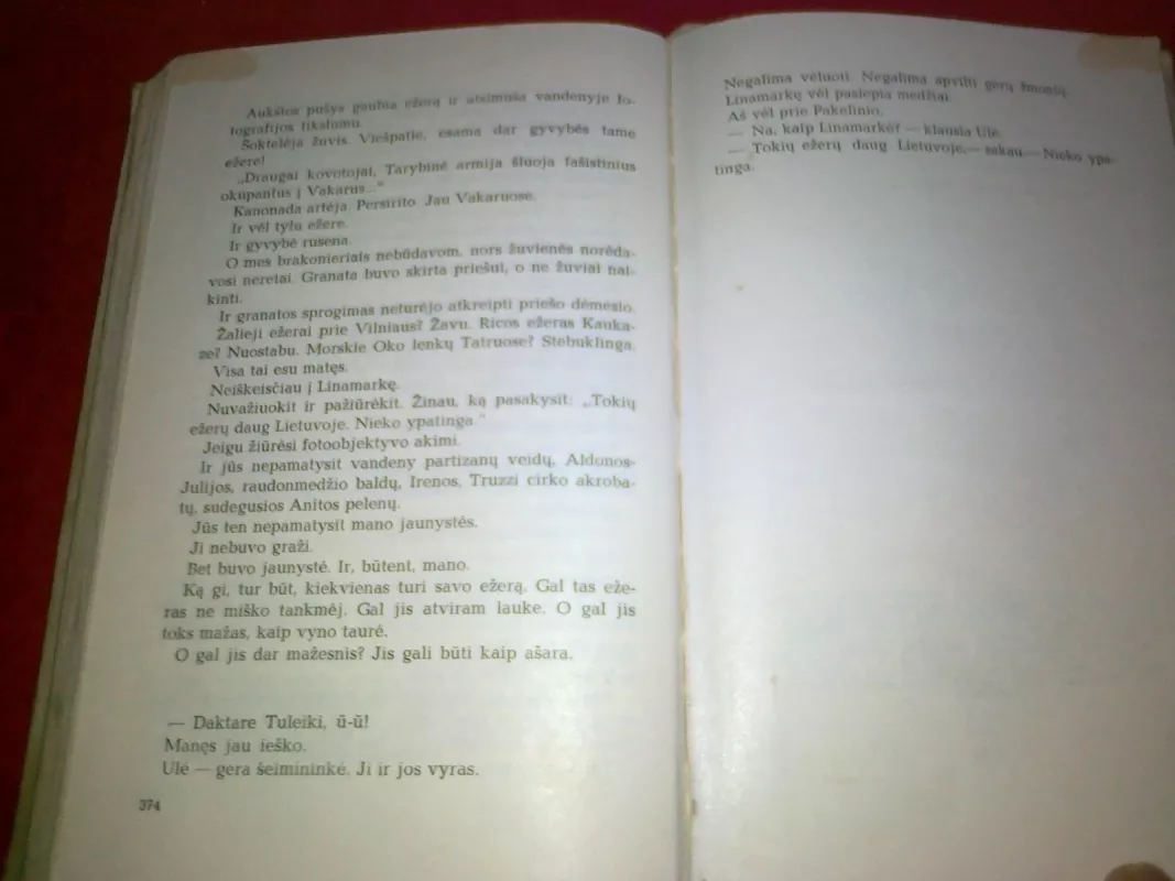 Raudonmedžio rojus - Vytautas Sirijos Gira, knyga