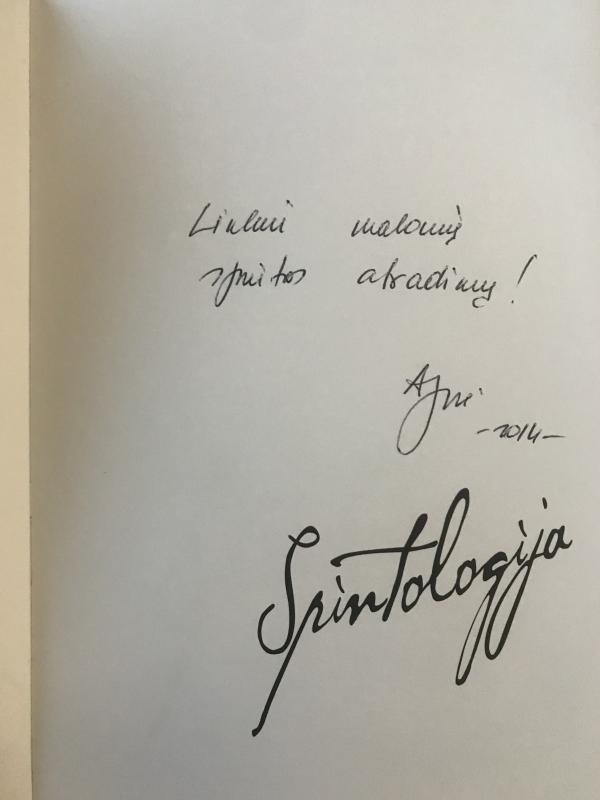 Spintologija. Nėra ko apsirengti?! - Gilytė Agnė, knyga 2