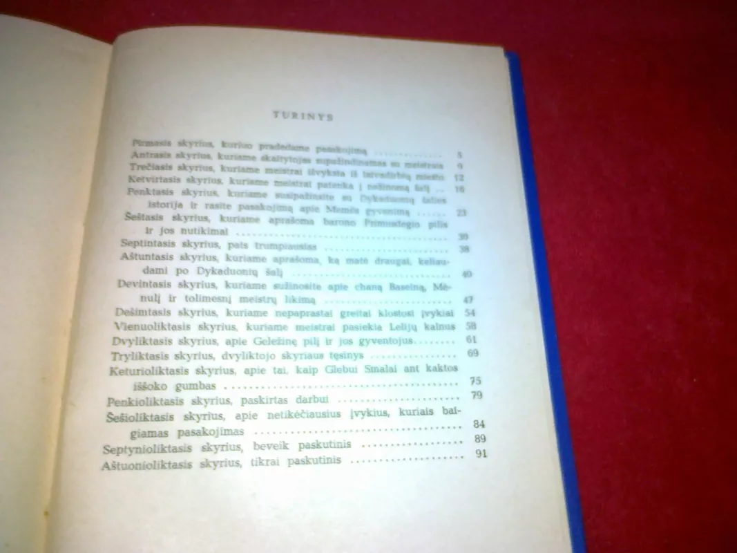 Gakas ir Burtikas dykaduonių šalyje - S. Sacharovas, knyga