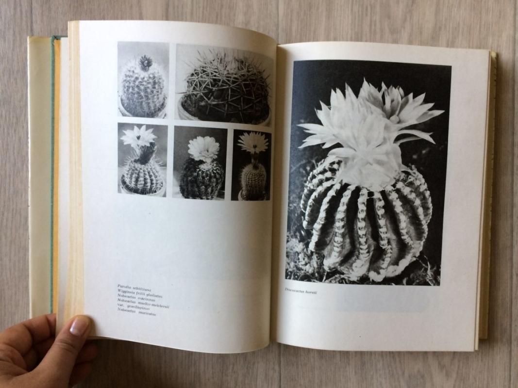 Колючее чудо - Александр Урбан, knyga 2