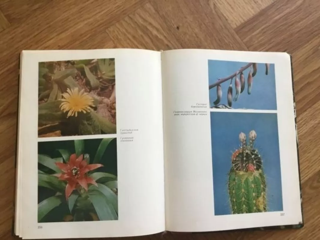 Тропические и субтропические растения закрытого грунта - А.М. Гродзинский, knyga 3