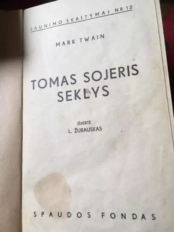Tomas Sojeris seklys - Mark Twain, knyga