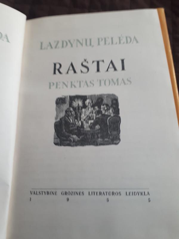 Lazdynų Pelėdos raštai IV tomas - Pelėda Lazdynų, knyga 2