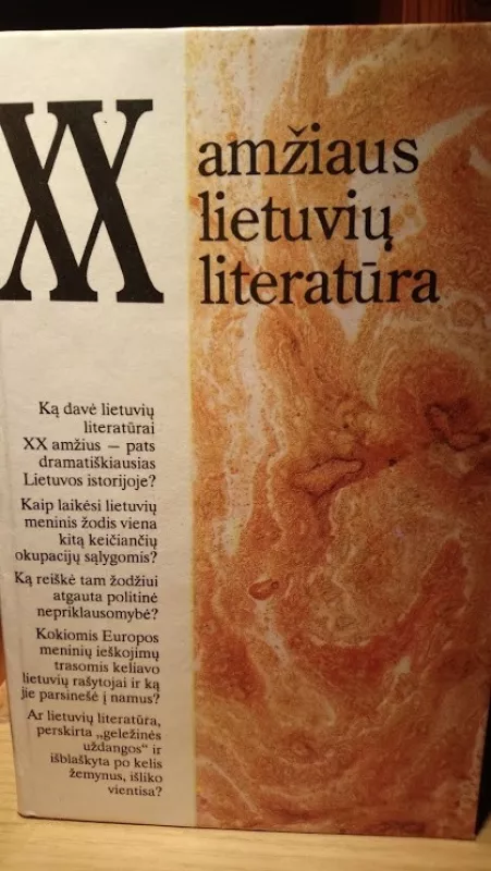 XX amžiaus lietuvių literatūra - Autorių Kolektyvas, knyga