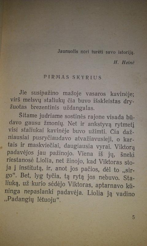 Poetu gali ir nebūti - Ina Gof, knyga 3