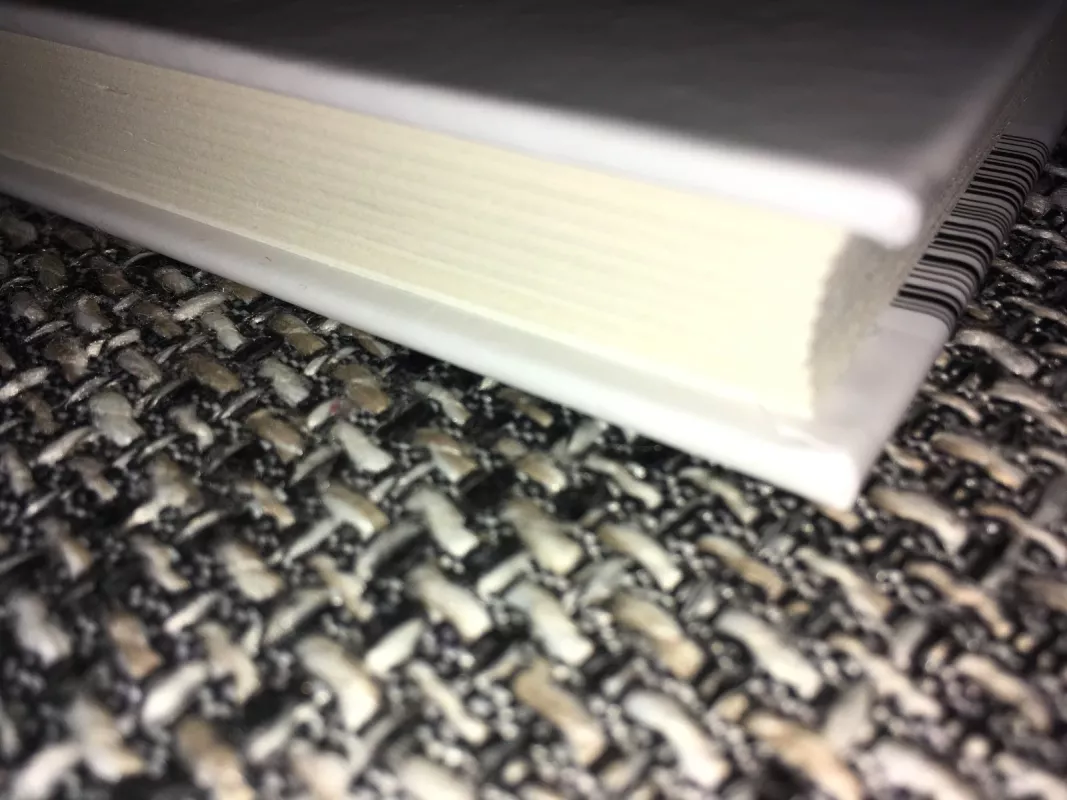 Senė - Alfonsas Bieliauskas, knyga 3