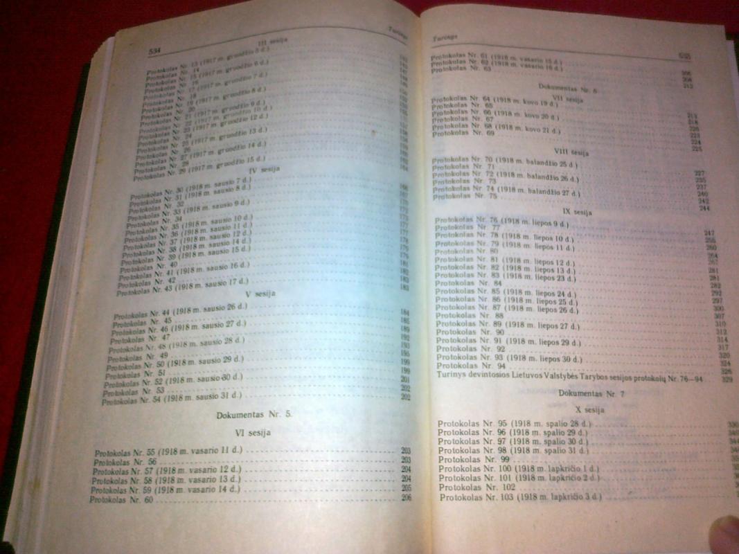 Lietuvos valstybės tarybos protokolai 1917-1918 - Alfonsas Eidintas, knyga 2