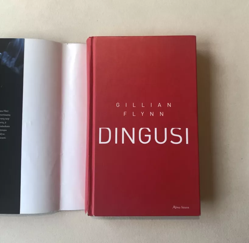 Dingusi - Gillian Flynn, knyga