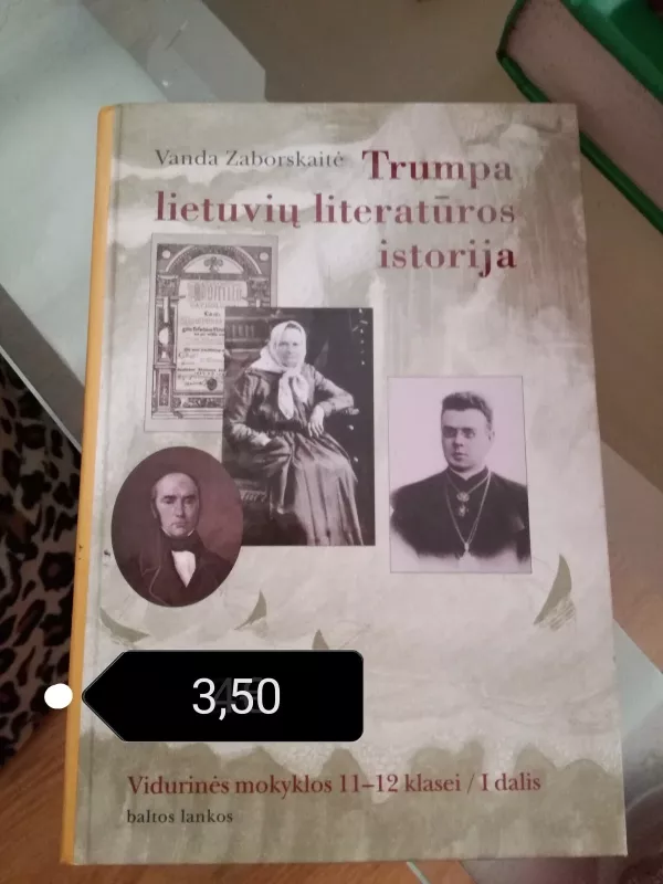 Trumpa lietuvių literatūros istorija - Vanda Zaborskaitė, knyga