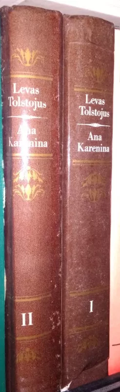 Anna Karenina - Levas Tolstojus, knyga