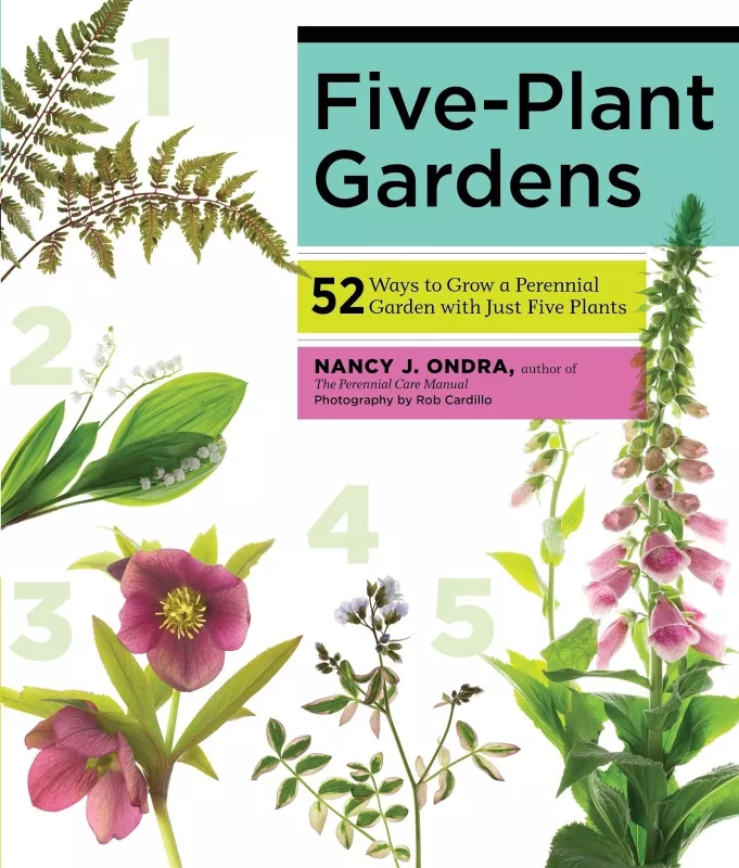 Nanct J.Ondra Five-plants gardens - Nancy J. Ondra, knyga