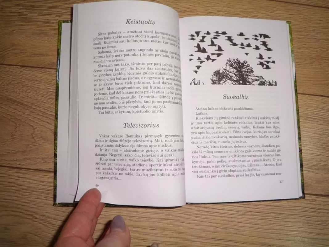 Mažas girios dienoraštis - Romas Sadauskas, knyga