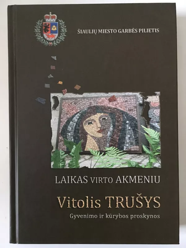 Laikas Virto Akmeniu - Vitolis Trušys, knyga