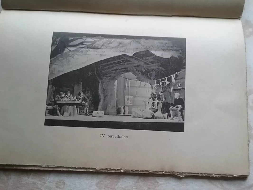 Vl.Švitrigaila Mažasis karžygys,1938 m - V. Švitrigaila, knyga 5