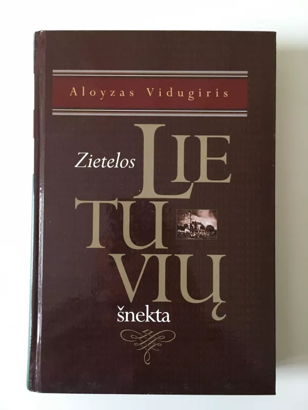 Zietelos lietuvių šnekta - Aloyzas Vidugiris, knyga