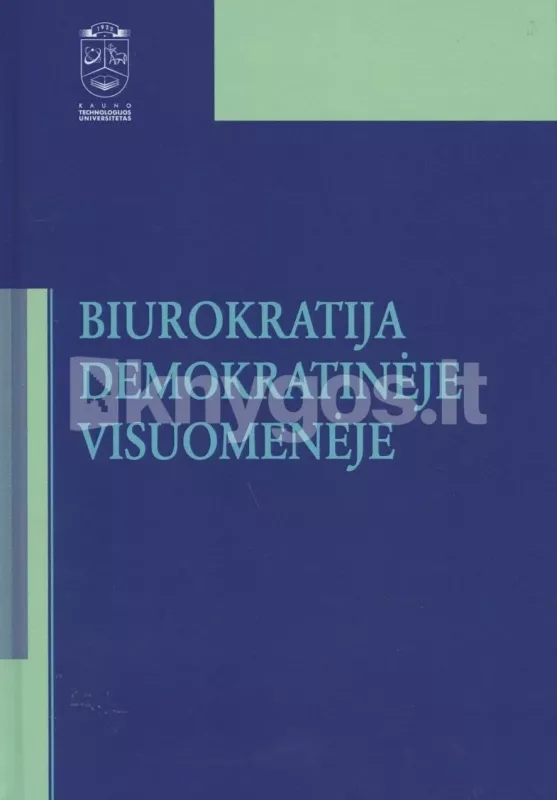 Biurokratija demokratinėje visuomenėje - Alvydas Raipa, knyga