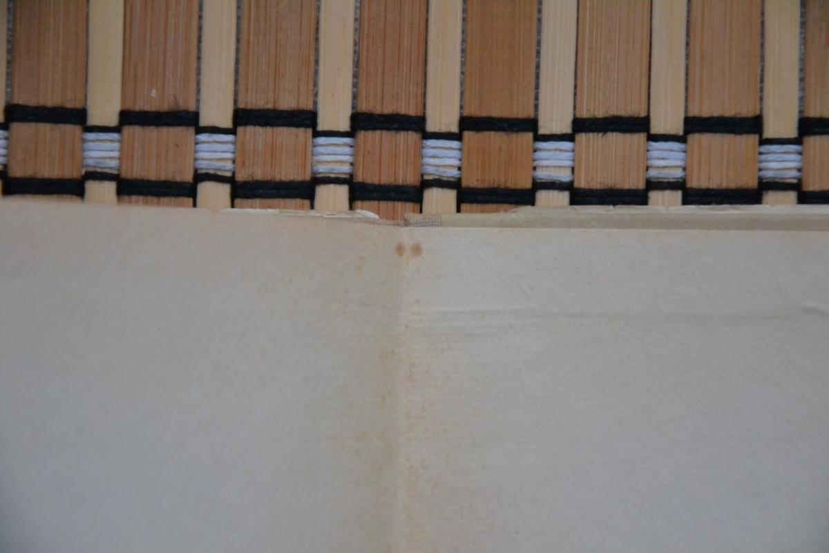 Baltieji šešėliai - Antanas Biliūnas, knyga 2