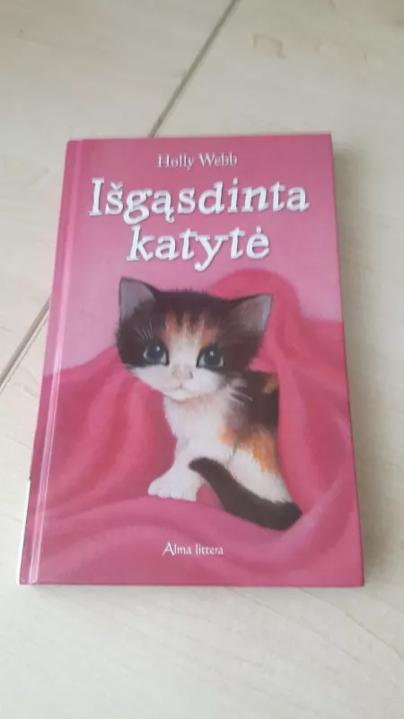 Išgąsdinta katytė - Holly Webb, knyga