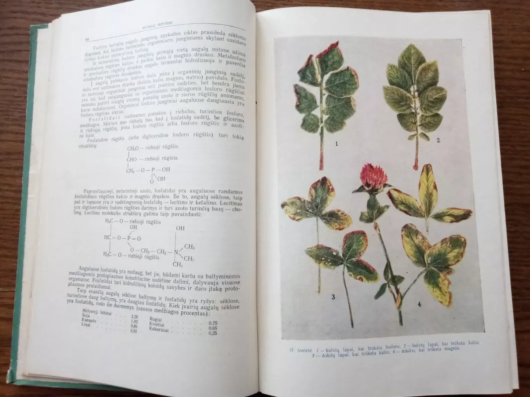 Agronominė chemija - Autorių Kolektyvas, knyga