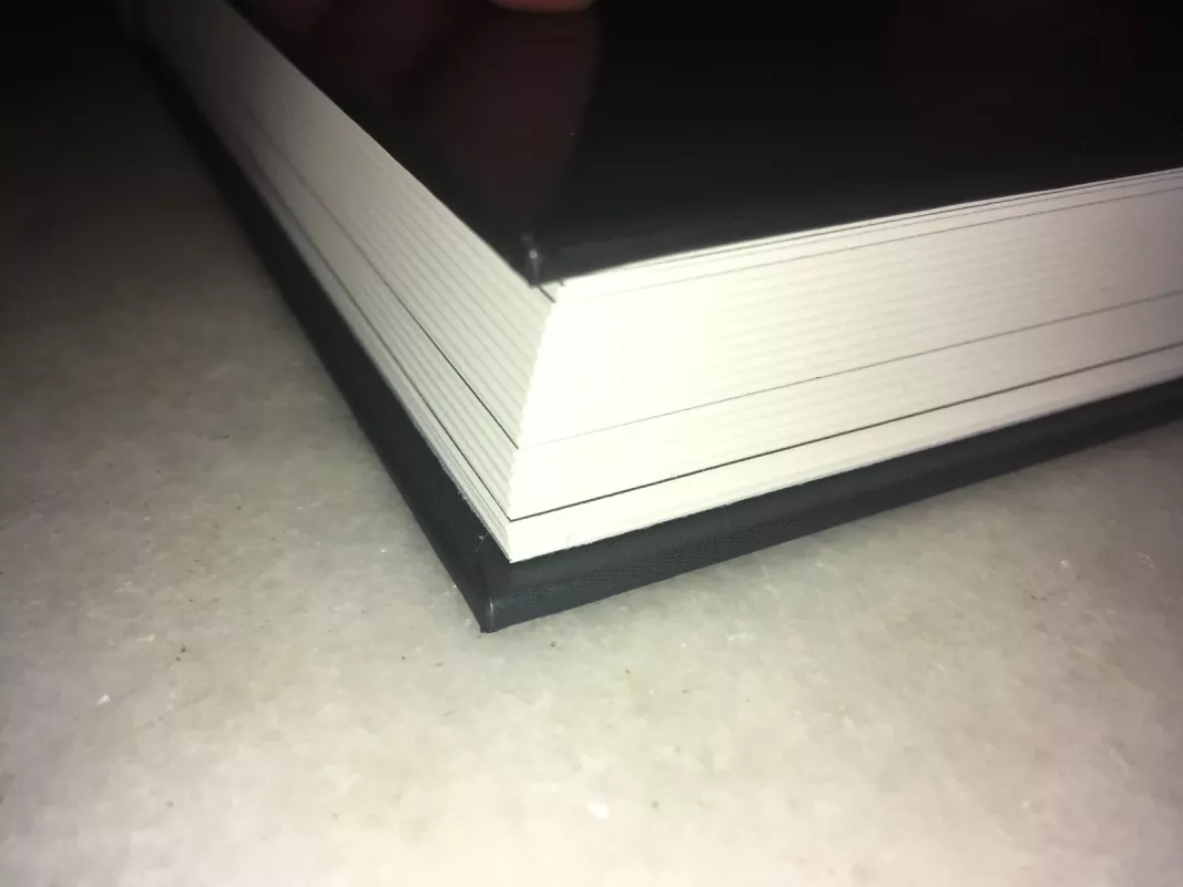 Juozo Budraičio teatrinis likimas - Daiva Šabasevičienė, knyga 3