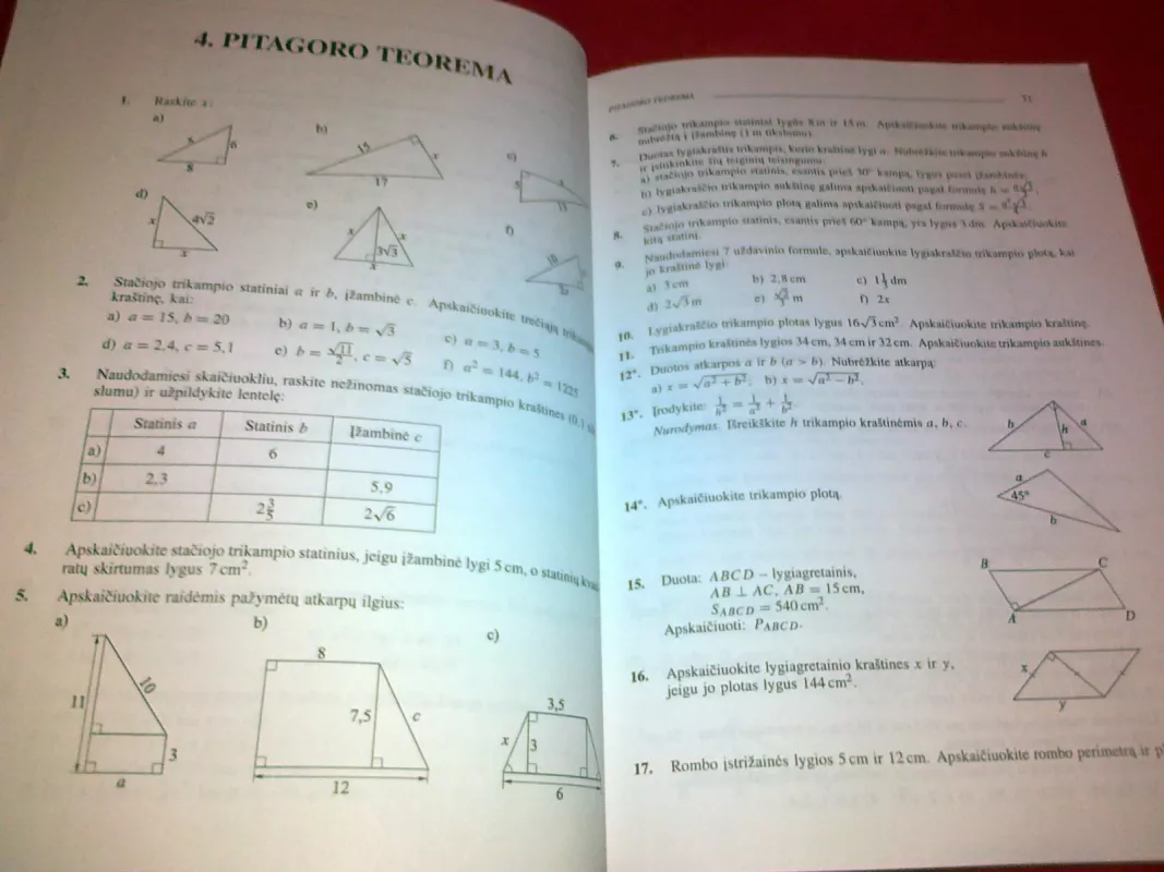 Matematika 8. Uždavinynas - Valdas Vanagas, knyga