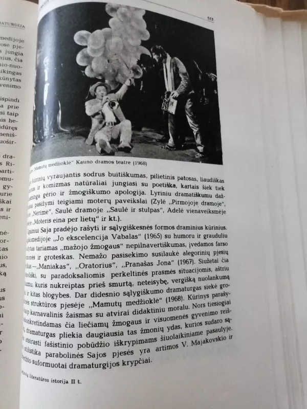 Lietuvių literatūros istorija II - Autorių Kolektyvas, knyga 2