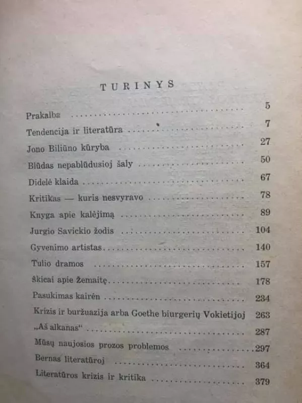Sgtraipsniai apie literatūrą - Korsakas Radžvilas, knyga