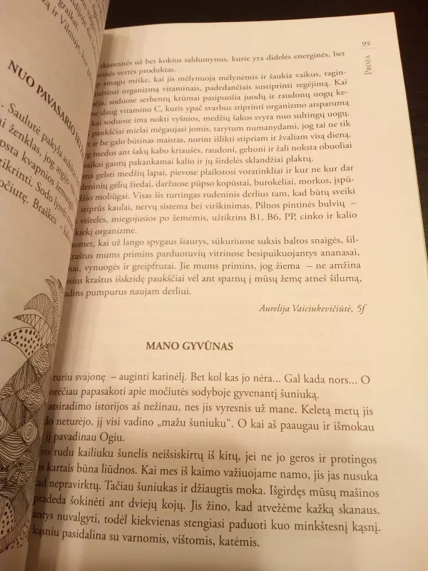 Žemynėlė 2007-2008 - Autorių Kolektyvas, knyga 3