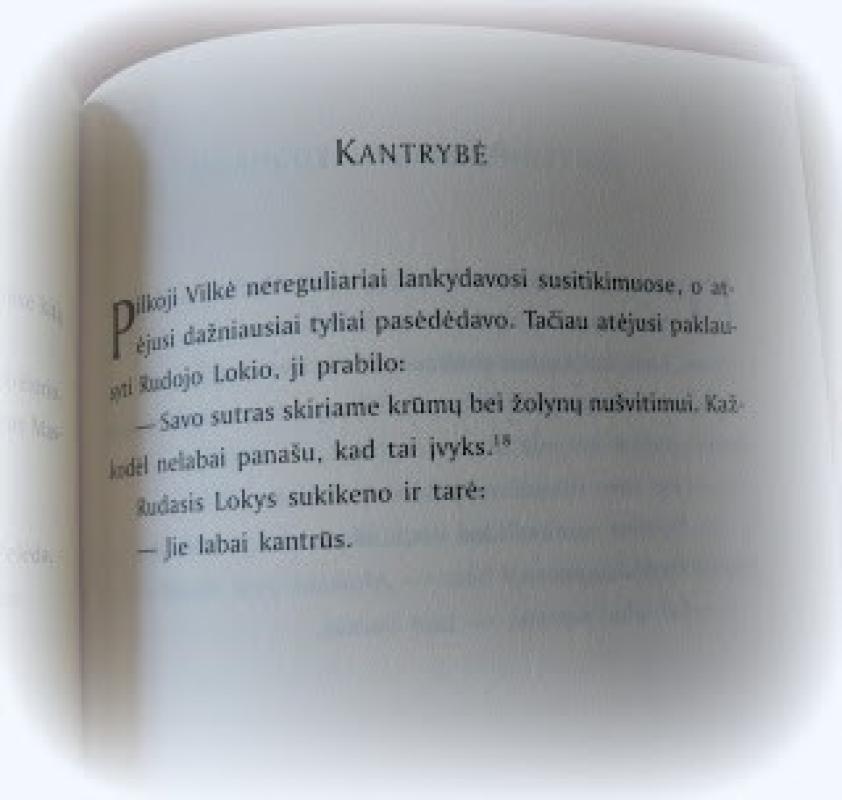 Zen mokytojas varnas : išmintingojo paukščio pamokymai ir darbai - Robert Aitken, knyga 2