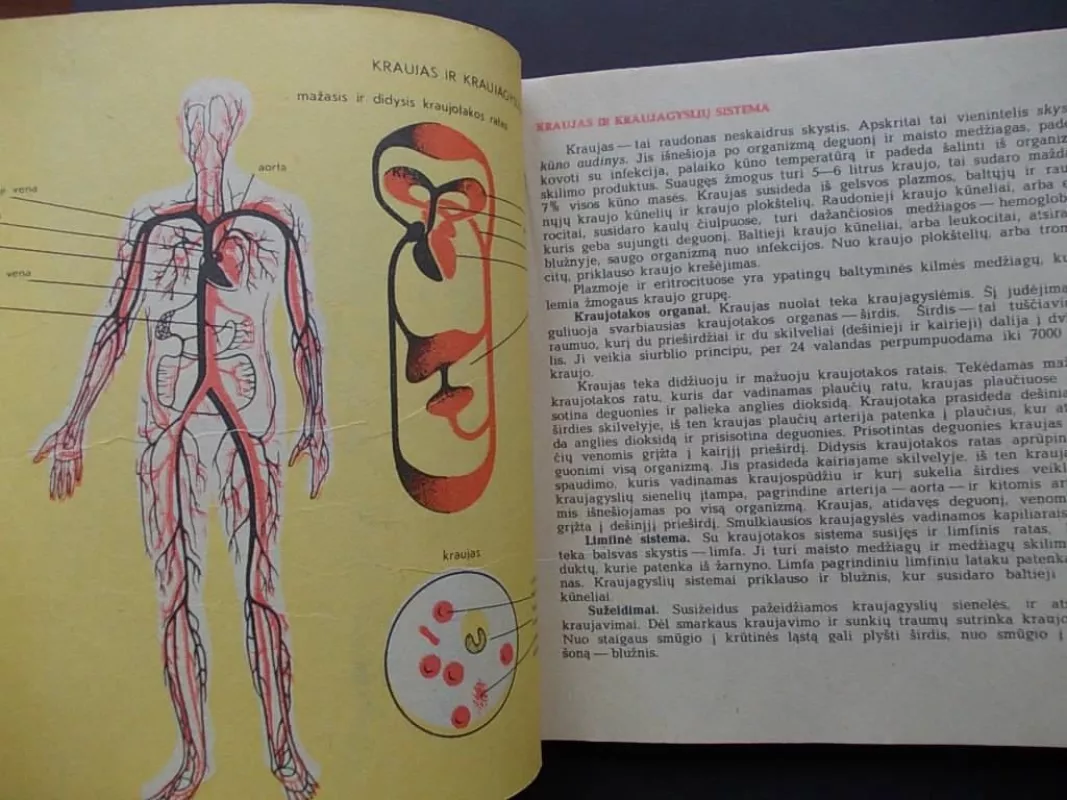 Pirmosios medicinos pagalbos atlasas - J. Junas, knyga