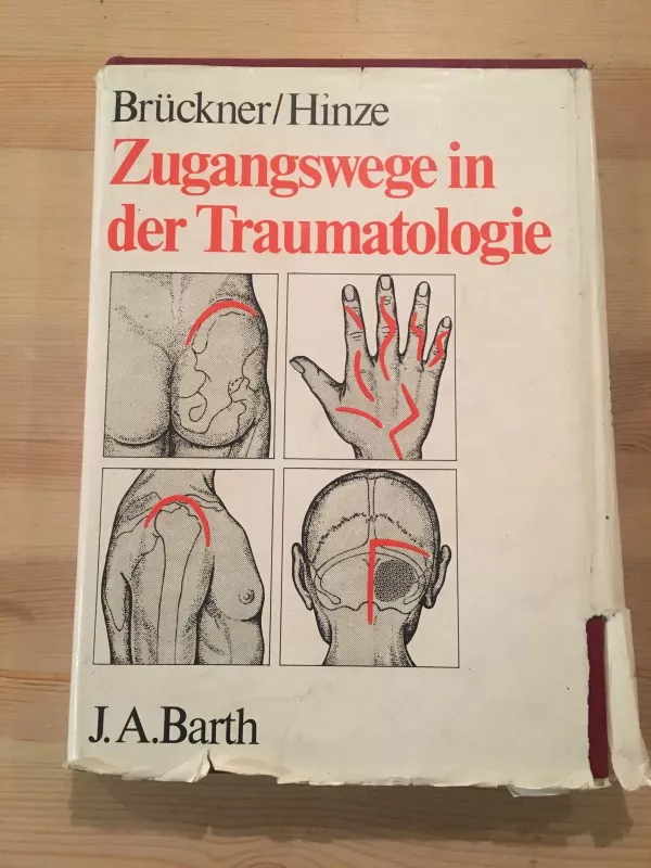 zugangswege in der traumotologie - John Barth, knyga