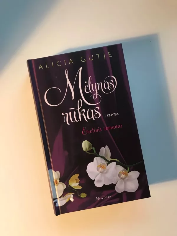 Mėlynasis Rūkas 2 knyga - Gutje Alicia, knyga