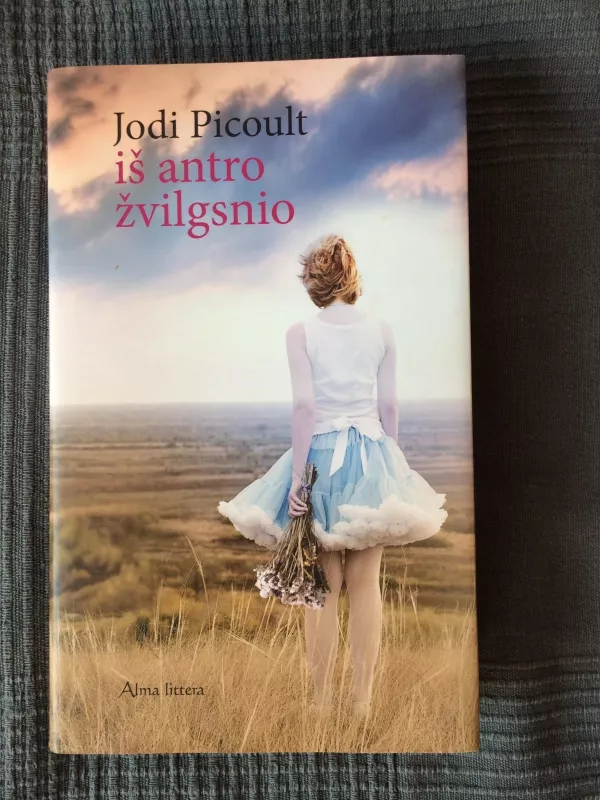 Jodi pilcoult - Jodi Picoult, knyga