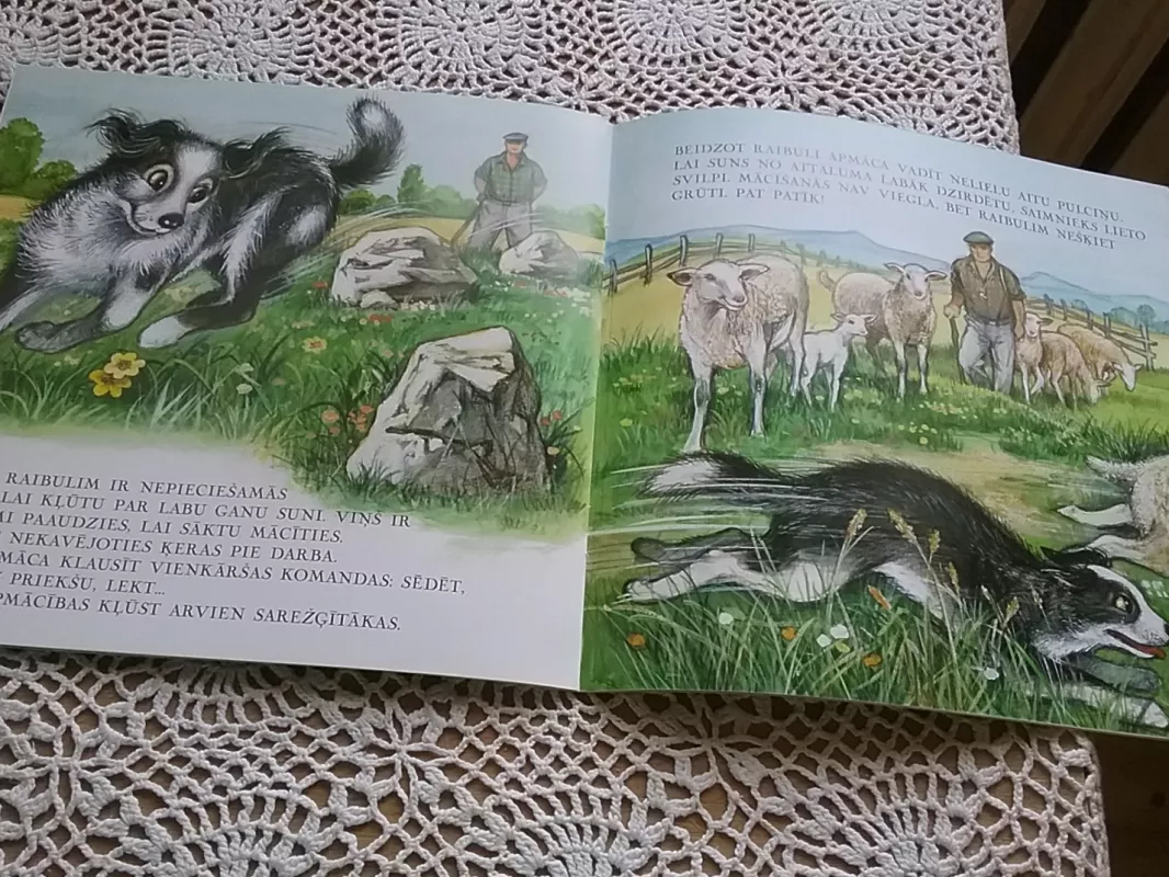 Žosta Ganu suns Raibulis - Autorių Kolektyvas, knyga