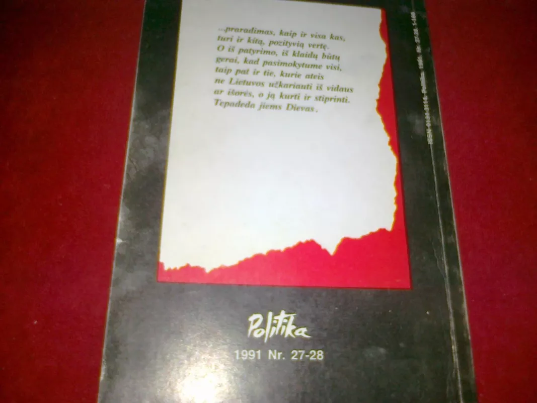 Gintarinės ledi išpažintis - Kazimiera Prunskienė, knyga