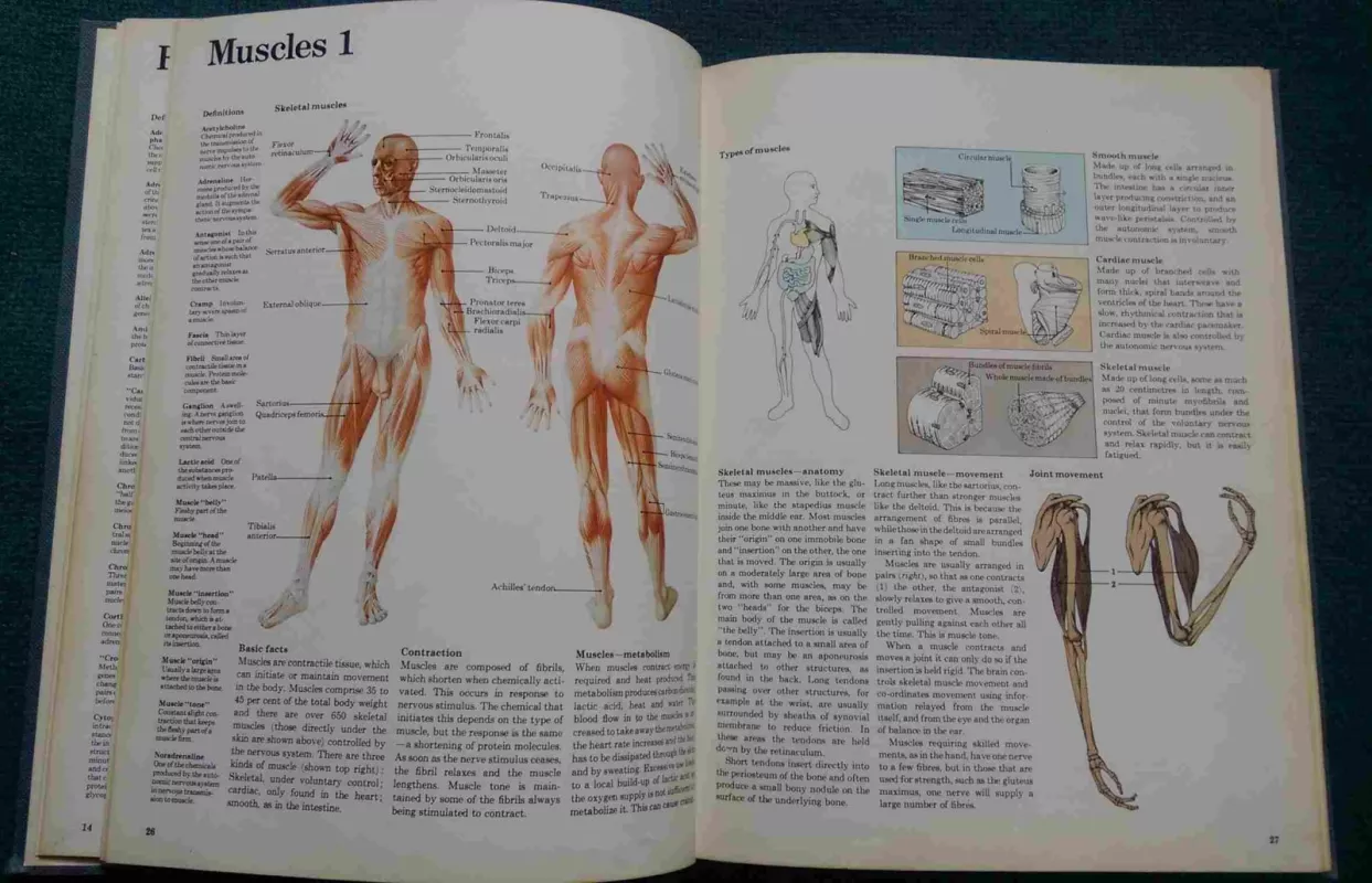 A Pictorial Handbook of Anatomy and Physiology - James Bevan, knyga 3