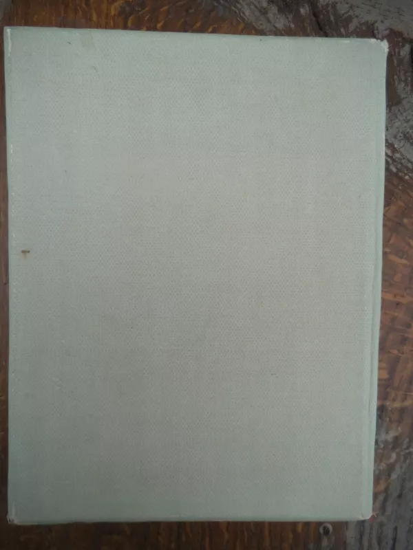 Lietuvių dailė - Autorių Kolektyvas, knyga 2