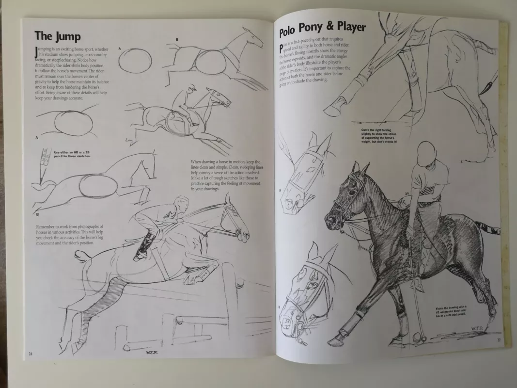 Horses. Learn to draw step by step - William Powell, knyga