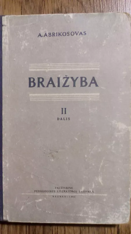 BRAIZYBA (2 DALIS) - A. Abrikosovas, knyga