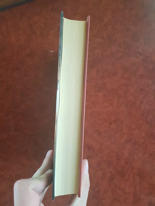 Lansanijos princas - Elena de Strozzi, knyga