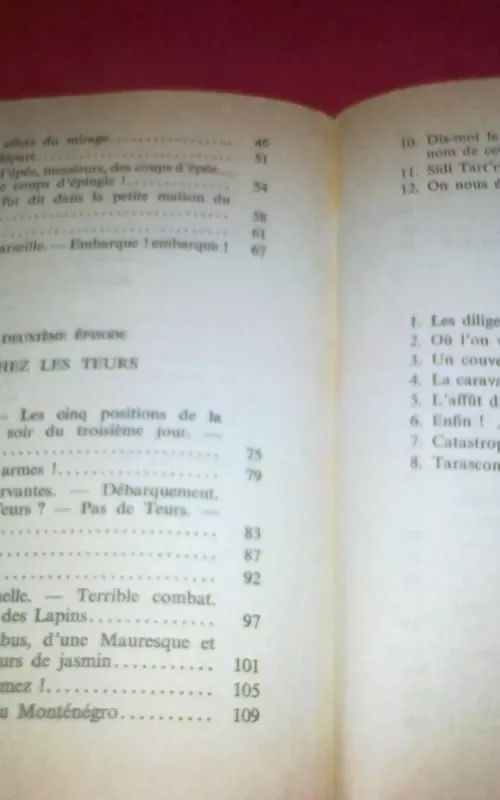 Tartarin de Tarascon. Aventures prodigieuses de Tartarin de Tarascon - Alphonse Daudet, knyga 2