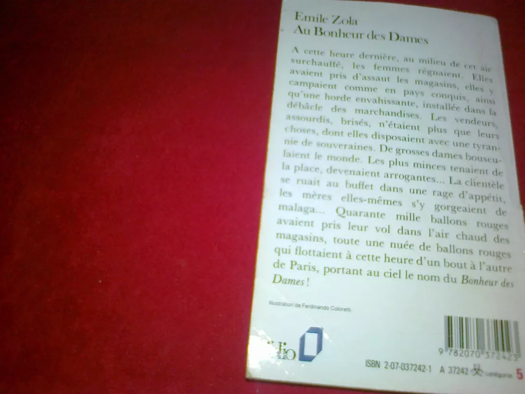Au bonheur des dames - Emile Zola, knyga