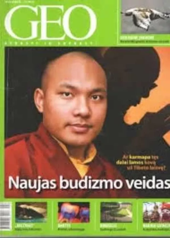GEO Naujas budizmo veidas 2010/05 - Autorių Kolektyvas, knyga
